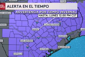 WhatsApp Image 2024-01-14 at 11.26.17 AM.jpeg