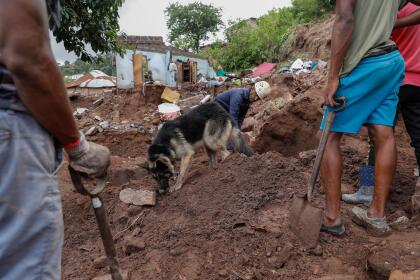 A member South African Police Services (SAPS) Search and Rescue Unit looks at their sniffer dog during search efforts to locate ten missing people from area of KwaNdengezi township outside Durban on April 15, 2022 after their homes were swept away following the devastating rains and flooding. - Police, army and volunteer rescuers on Friday widened the search for dozens still missing five days after the deadliest storm to strike South Africa's coastal city of Durban in living memory as the death toll rose to nearly 400. The "unprecedented" floods, which affected nearly 41,000, left a trail of destruction and at least 395 people dead. With the government coordinating the search-and-rescue operation, the official number of people missing in KwaZulu-Natal province stood at 55. (Photo by Phill Magakoe / AFP) (Photo by PHILL MAGAKOE/AFP via Getty Images)