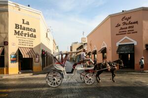 Horse carriages on a morning city street in Merida, Yucatan, Mexico