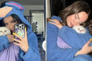 Así presentó a 'Glen' en noviembre de 2022.