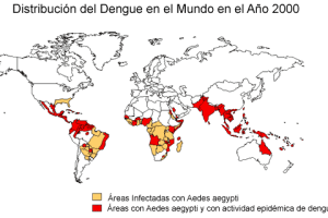 Disrtribución del dengue año 2000
