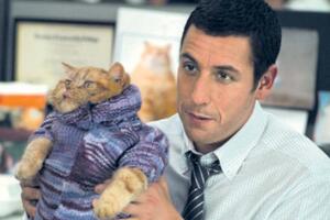 adam_sandler_1.jpg
