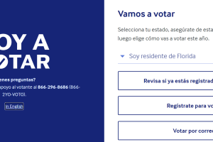 Voy a votar