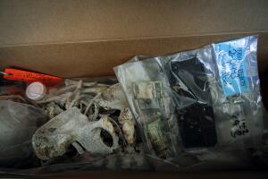 Migrantes Desaparecidos