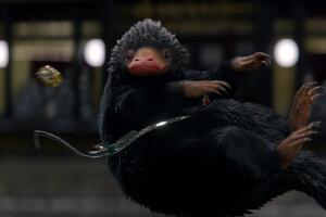 Animales fantásticos