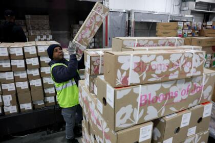 MIAMI, FLORIDA - FEBRUARY 12: FedEx team members stack boxes of flowers as they are imported through the FedEx Cargo Hub's cold room at Miami International Airport on February 12, 2025 in Miami, Florida. FedEx transfers millions of fresh flowers through the hub for Valentine's season by increasing air capacity from Colombia and Ecuador. They will transport over 2.2 million pounds of flowers from these countries in February. (Photo by Joe Raedle/Getty Images)