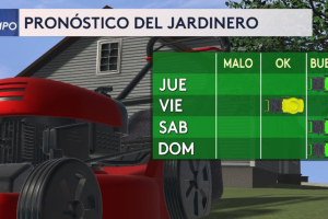 riesgo-incendios-forestales