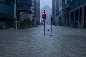 tifon-trami3.jpg