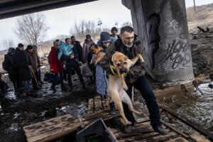 Civilian Evacuations Continue In Irpin The Day After Deadly Shelling