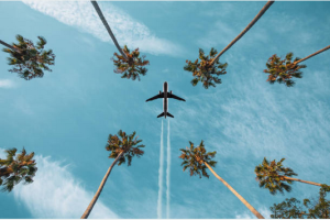volar.PNG