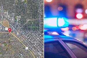 atropellado modesto.jpg