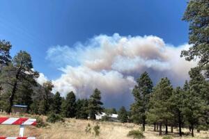 Ordenan evacuaciones al norte de Arizona por incendio Pipeline. 