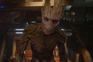 groot-guardianes-1.jpg