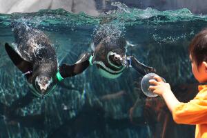 Aquarium of the Pacific en Long Beach