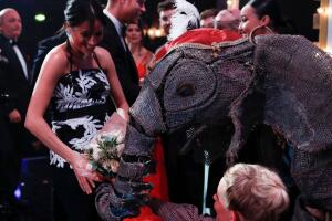 elefante 2.jpg