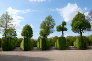maze2007-lg.jpg