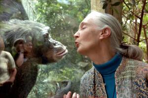 Jane Goodall, the world's foremost autho