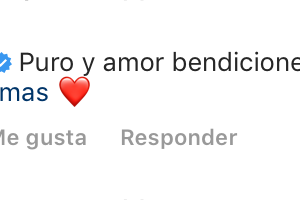 Maite Perroni.png