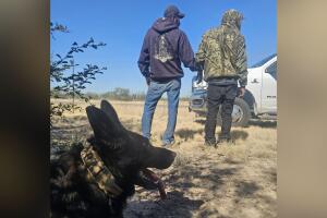  Patrulla Fronteriza migrantes condado de Maverick Texas arrestos operativo canino caballería