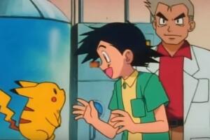 pokemon_teoria_battle_royal_2.jpg