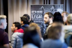 California Marijuana