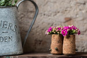 lugares-para-plantar-flores-rolha.jpg