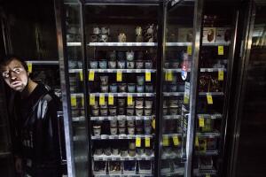 California Power Outages