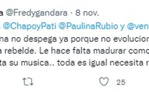 criticas a paulina rubio.jpg