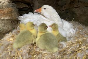 untitled folder/IMG_7496.jpg
