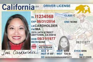 dmv licence.jpg