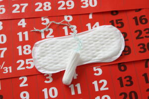 cada-etapa-ciclo-menstrual-2.jpg