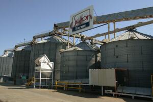 Salmonella Pistachios