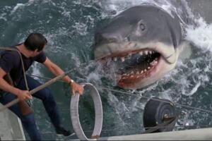 jaws