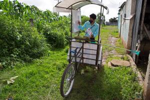 Virus Outbreak One Good Thing - Guatemala Teacher