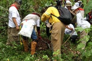 También se les han unido activistas de causas sociales que ayudan a dilucidar qué ha pasado con las personas cuyo paradero se desconoce.