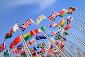 Organización de las Naciones Unidas - ONU