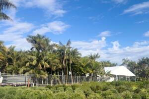 El lugar donde se casarán Selena Gómez y Benny Blanco