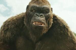 Kong Skull Island 7.jpg