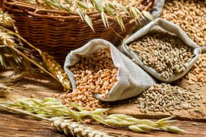 alimentos-matam-fome-fibras.jpg