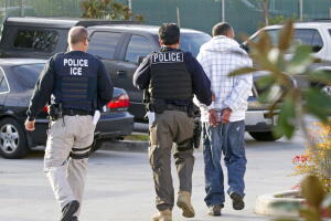 Immigration Deportations