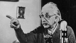 Albert Einstein predijo el ‘razonamiento’ en los animales: te explicamos con abejitas