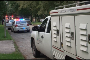 Ataque de perro Houston