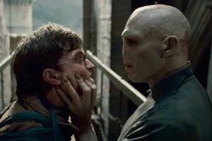 Harry Potter contra Voldemort .jpg