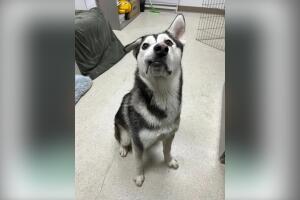 BeFunky-design (10).jpg