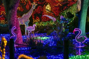 ZooLights12.jpg