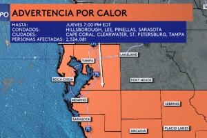calor tampa.jpg