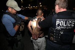 ICE agente arresto