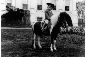 Archie y Quentin Roosevelt