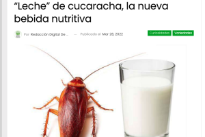 Leche de cucaracha