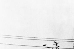 UFO Sighting California 1956